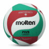 Volleyball, Molten V5M5000